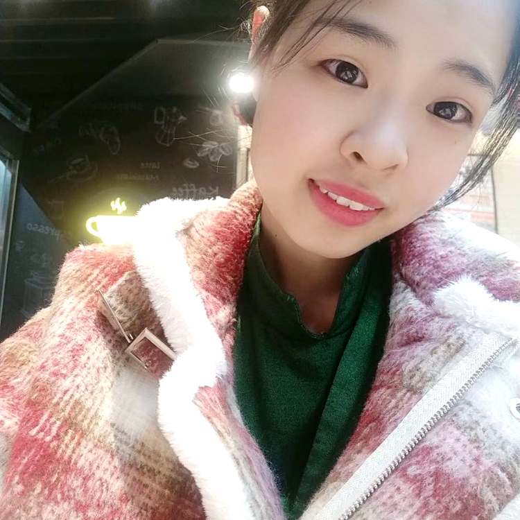 芝麻停止笨笨的照片