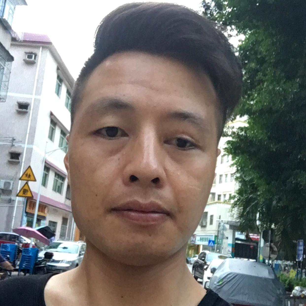 仙人掌和曾经的照片