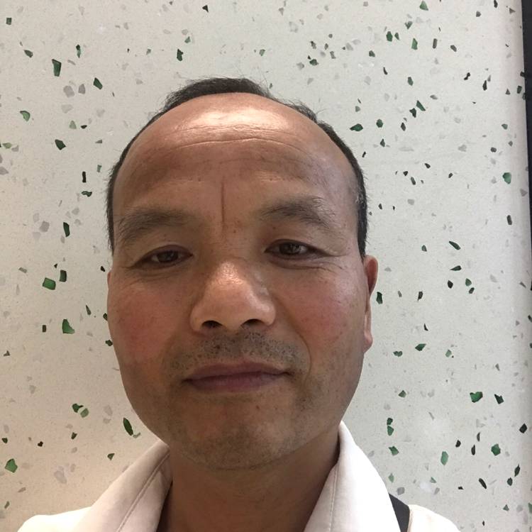 为了生存而奔波的照片