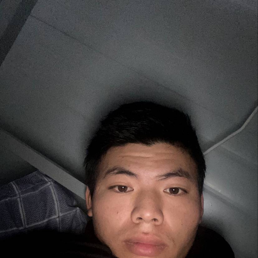 年轻保卫大树的照片