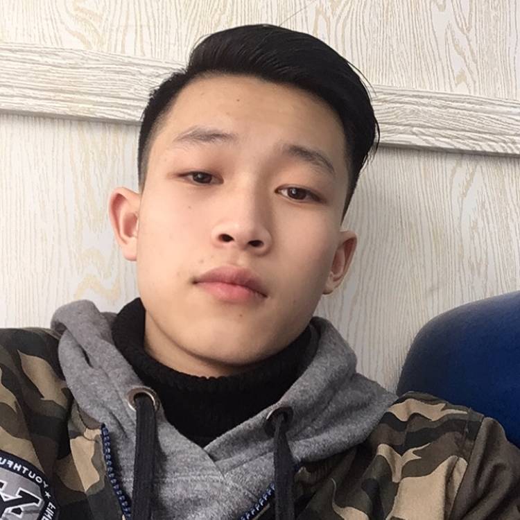 海洋鸭的照片