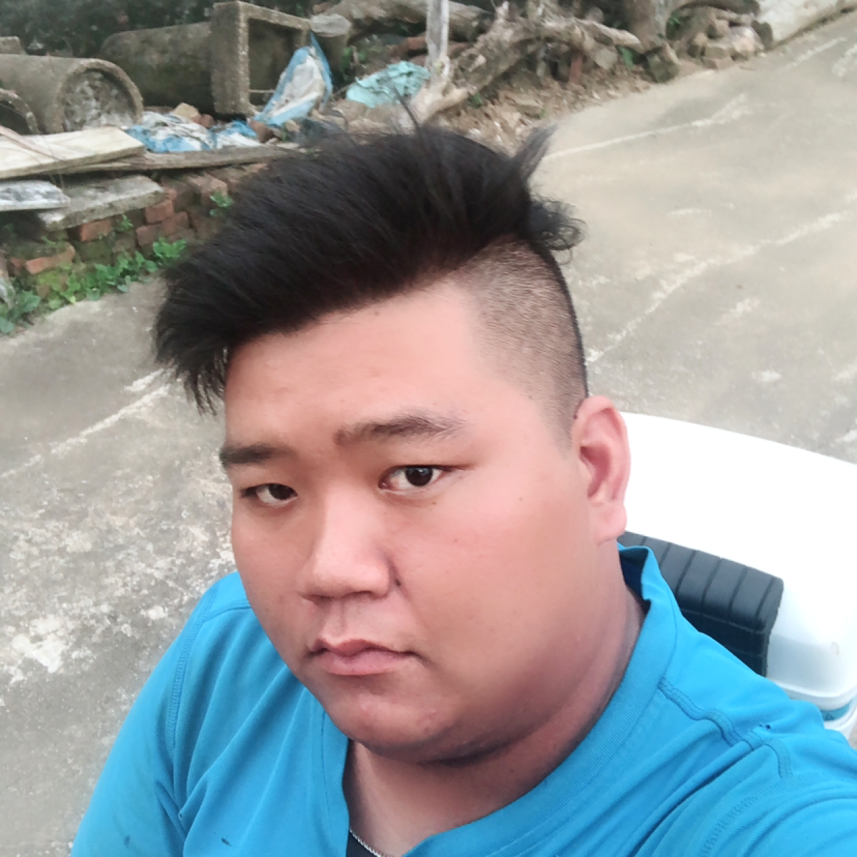 灰狼相许单纯的照片
