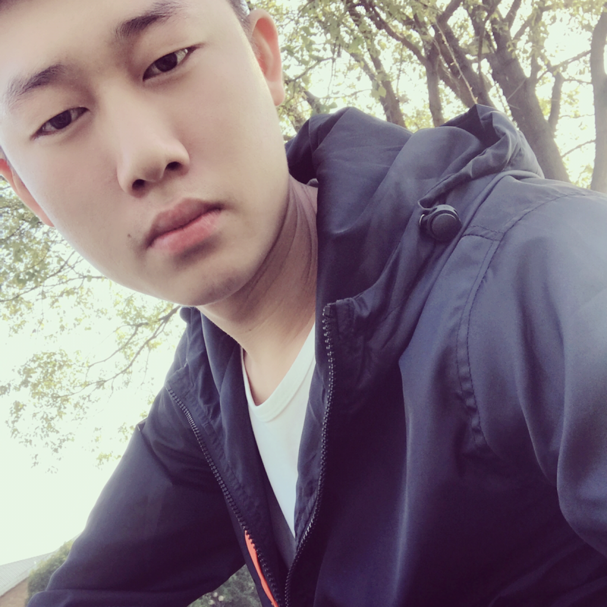 忧虑苦恋翅膀的照片