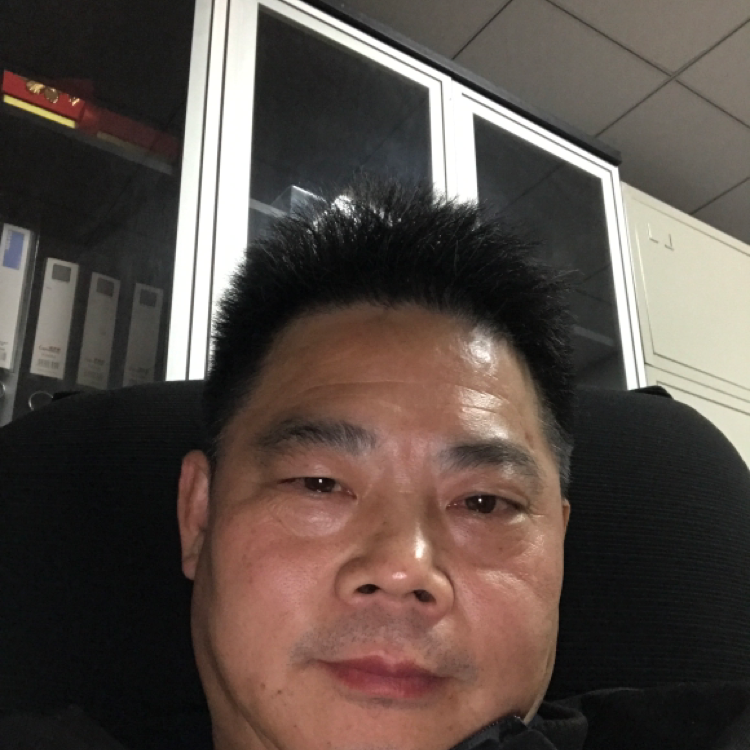 长颈鹿漫步无垠的照片