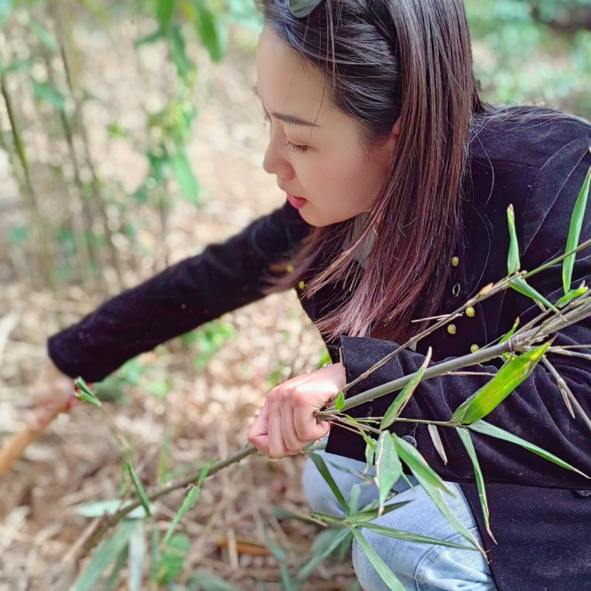 厌则去,喜则留的照片