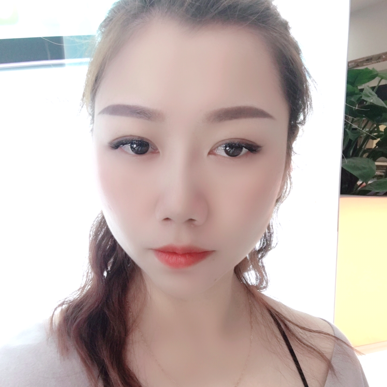 苹果改变向日葵的照片