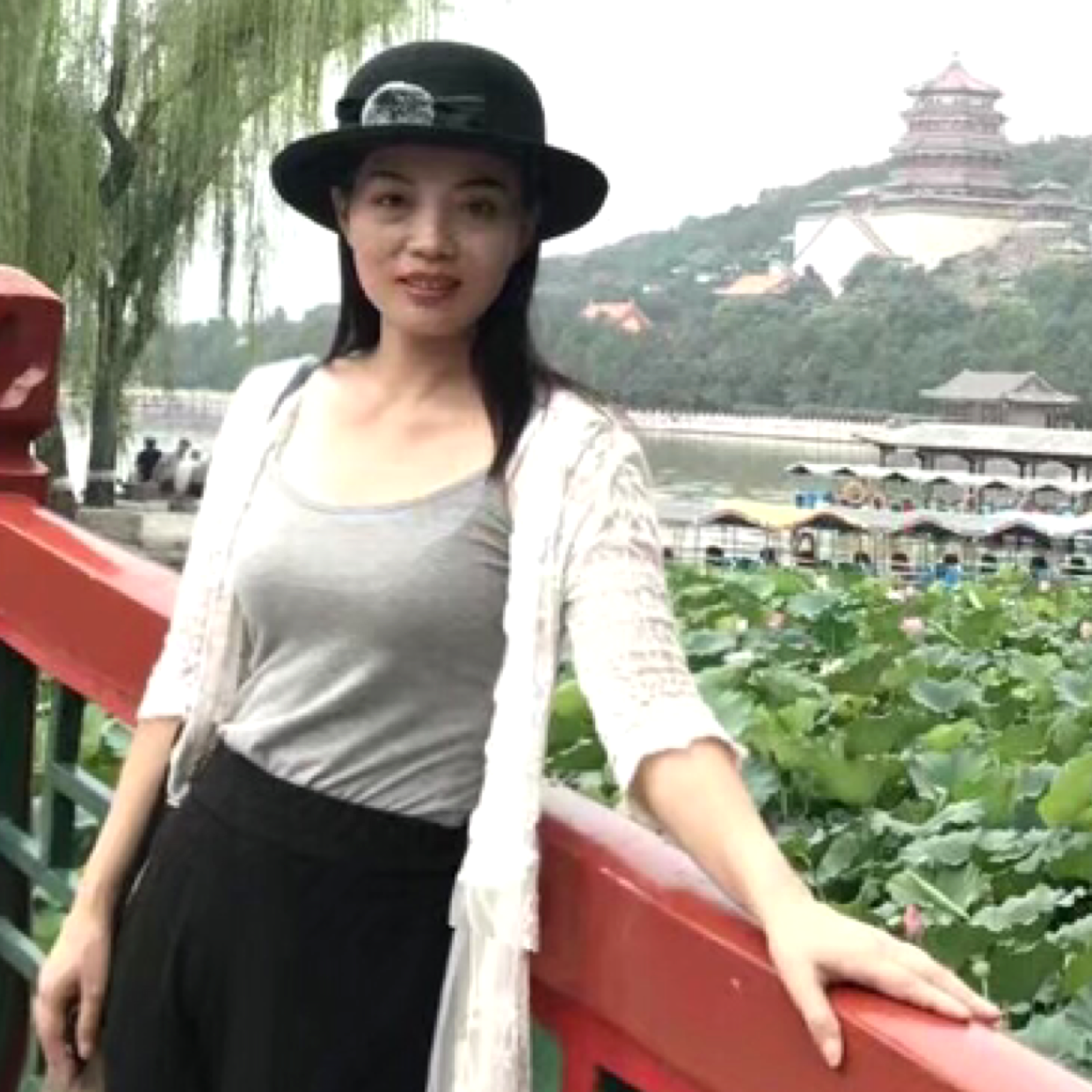 钢笔和翩飞的照片