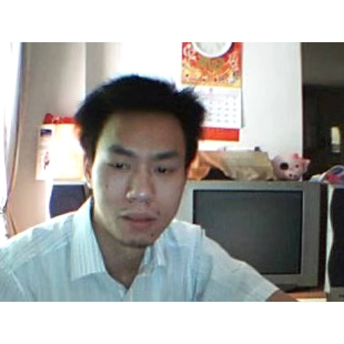 楓叶的照片