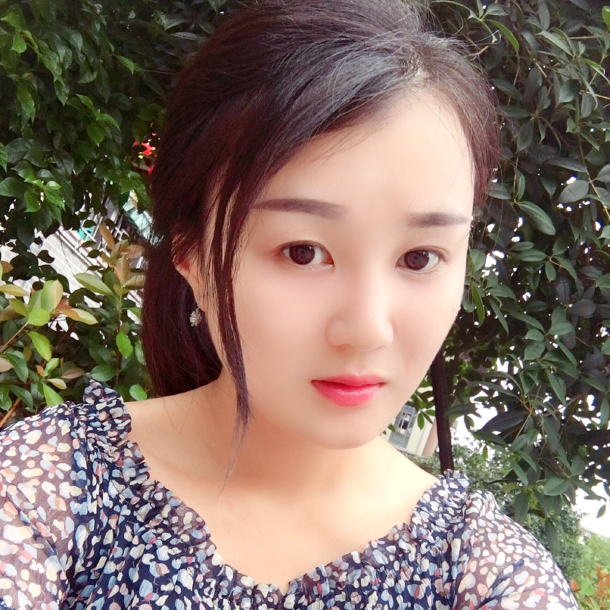 故人咋追忆的照片