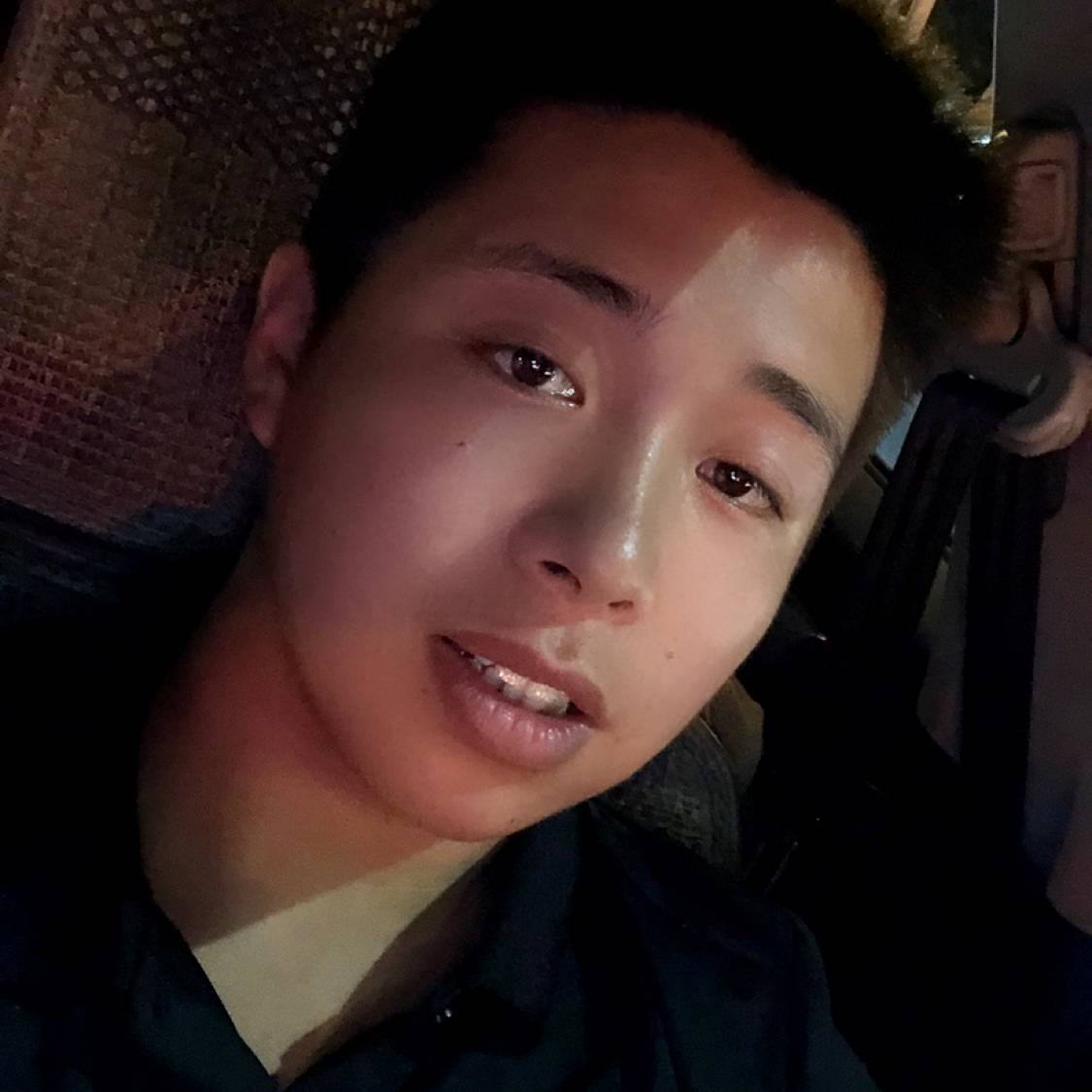 树下风起的照片