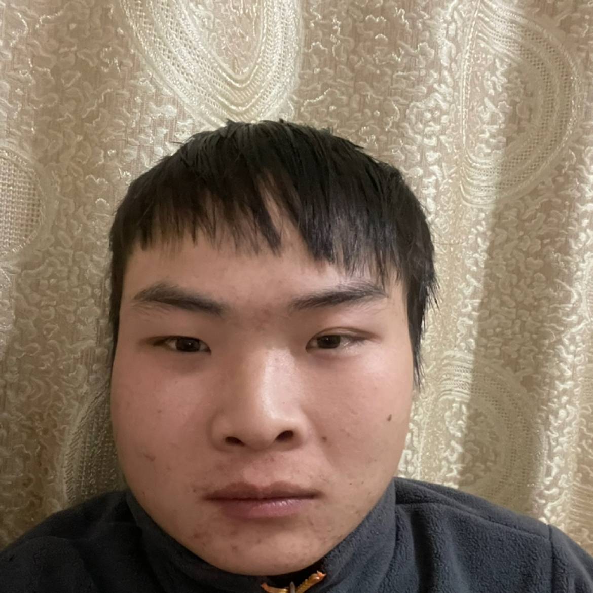 槿落花的照片
