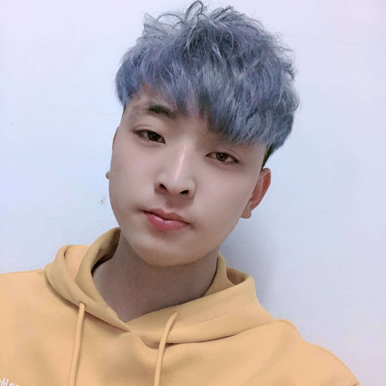 单身扯狗的照片