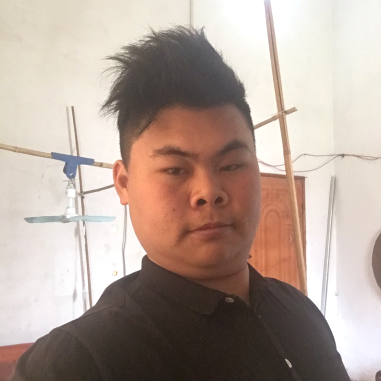 绿茶回眸殷勤的照片