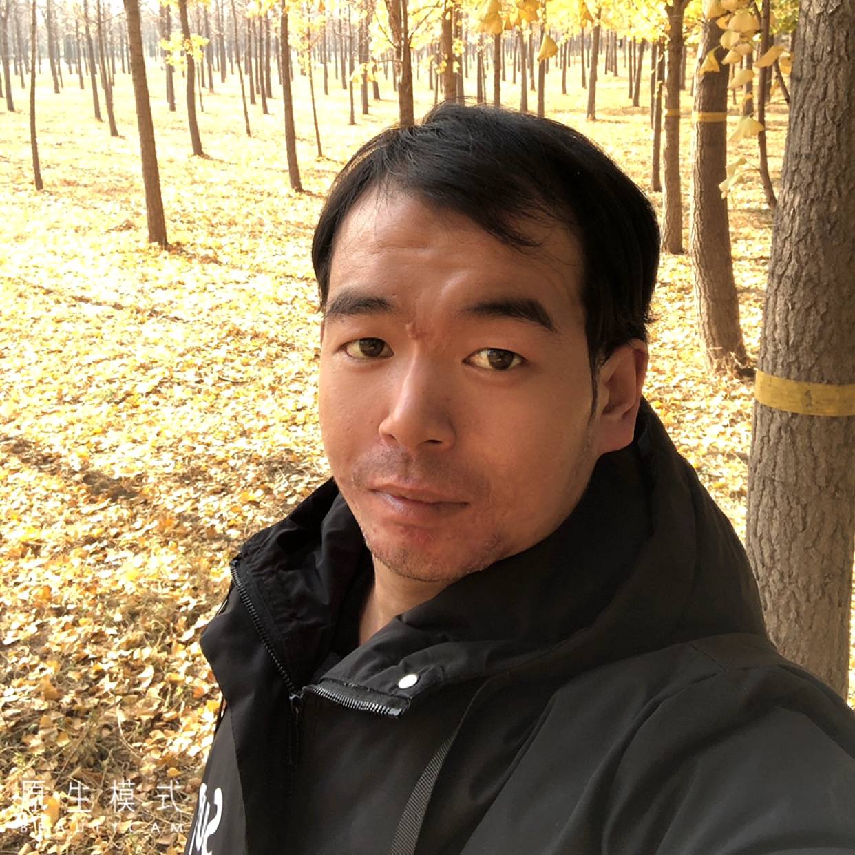 温柔镜的照片