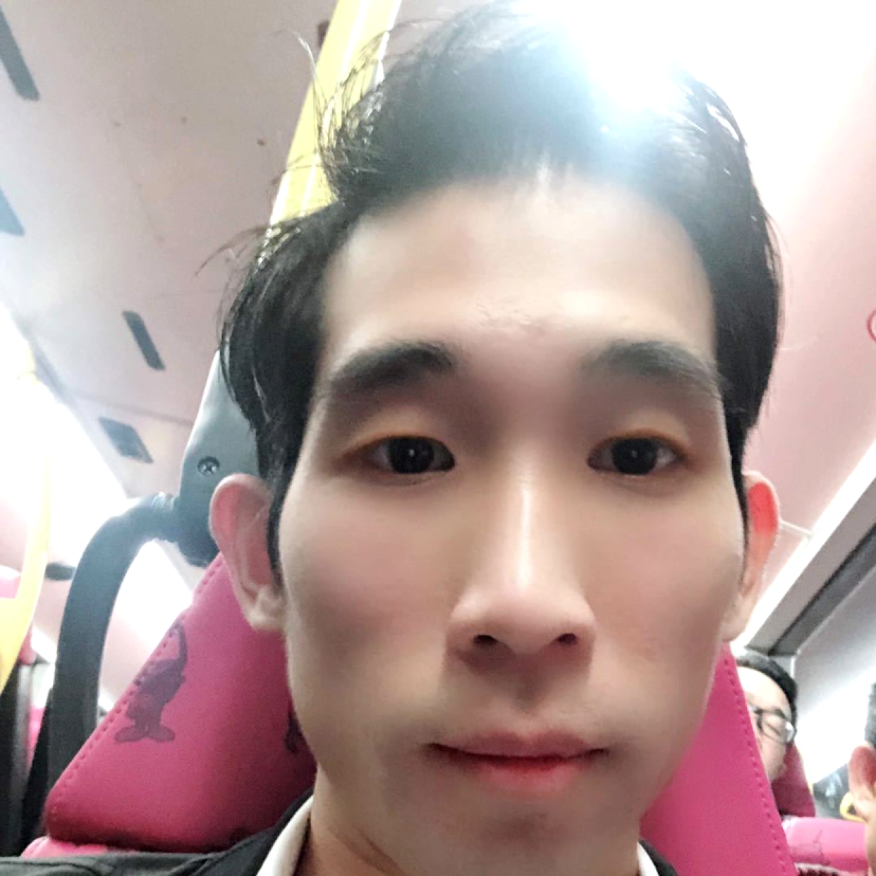 康乃馨包容的照片
