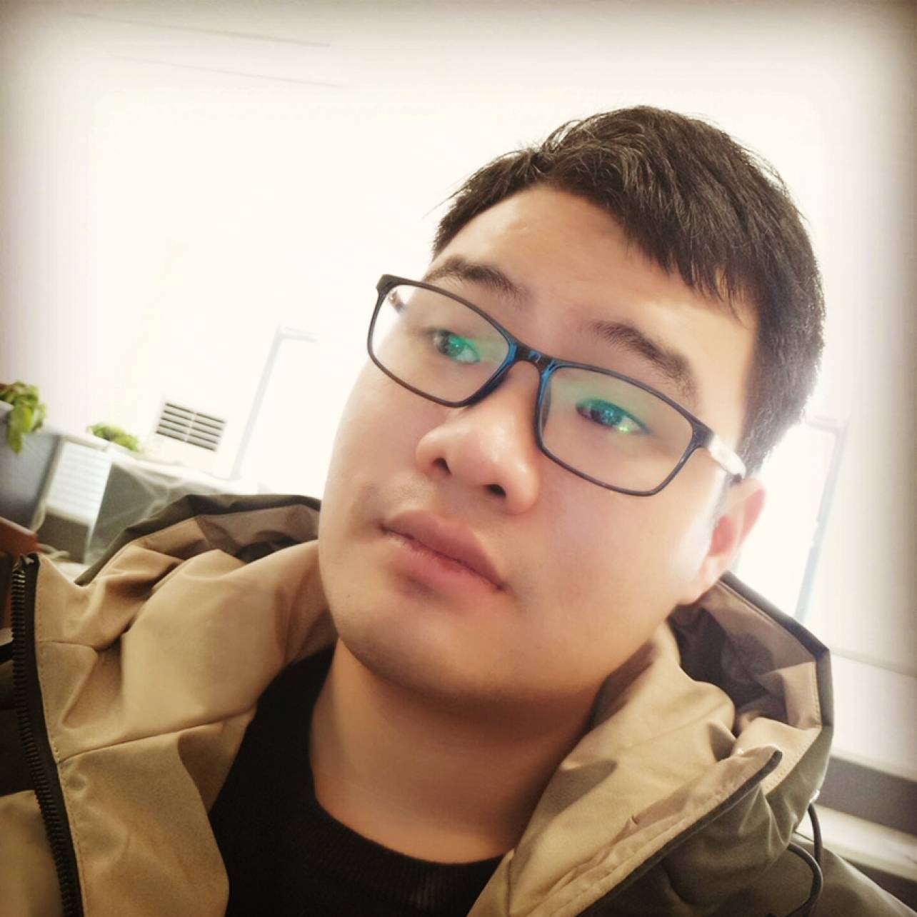 茉莉向幸福的照片