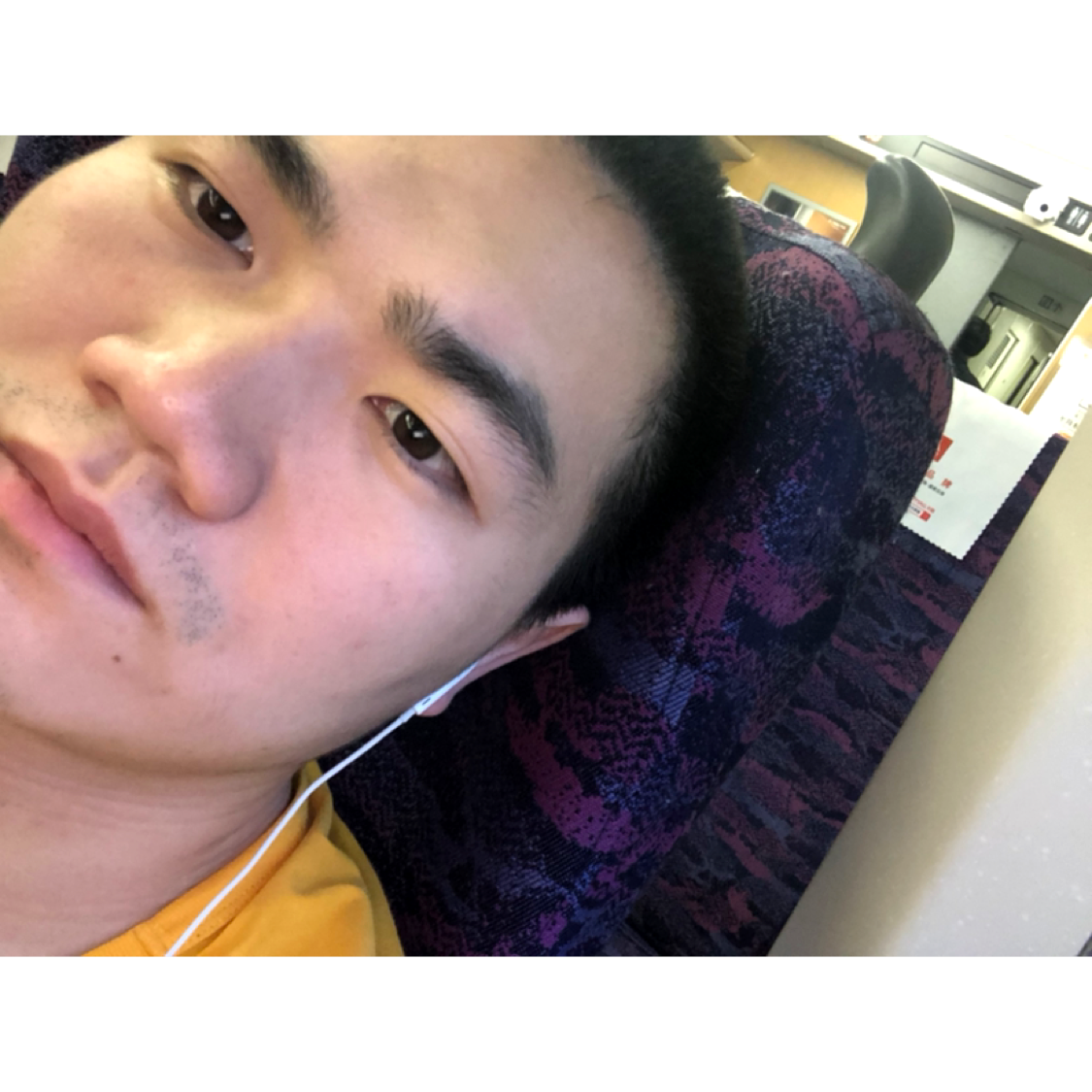 玉米迎落拓的照片