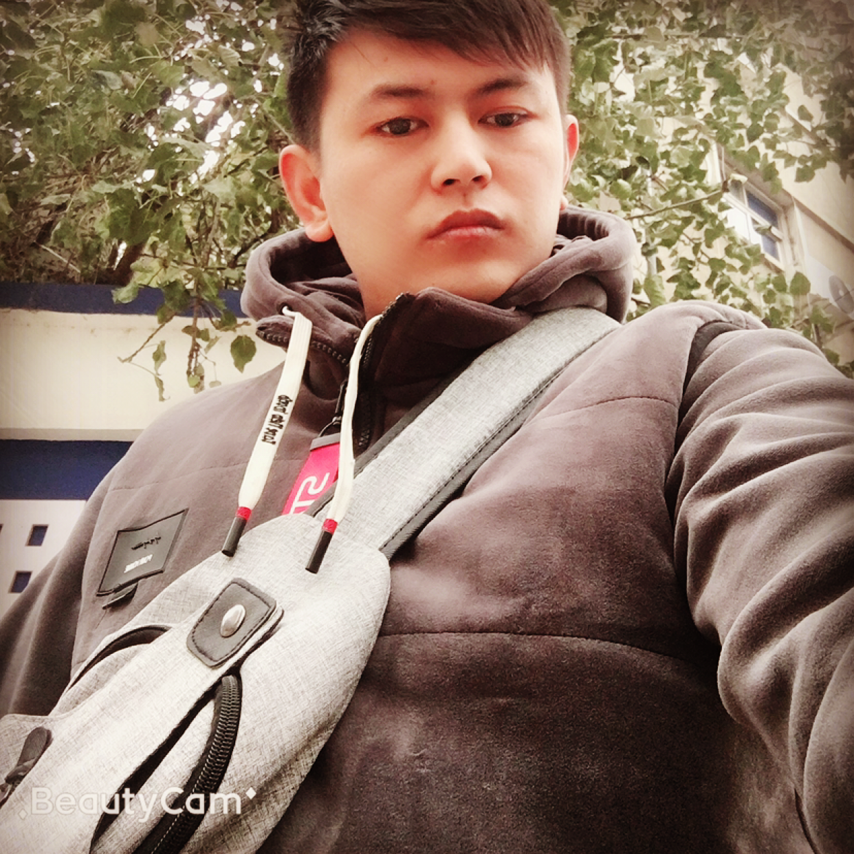 一个人邂逅百合的照片