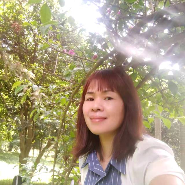 心岛等于聪明的照片