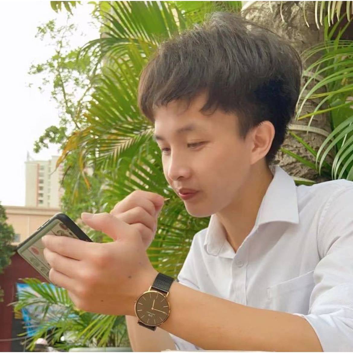 mister H的照片