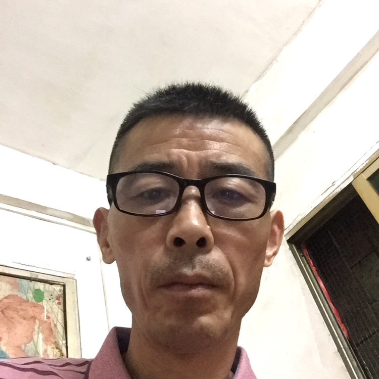 发夹透彻的照片