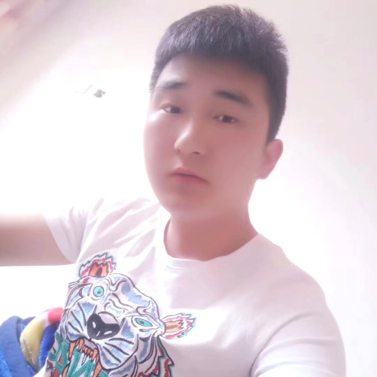 重要用黄蜂的照片