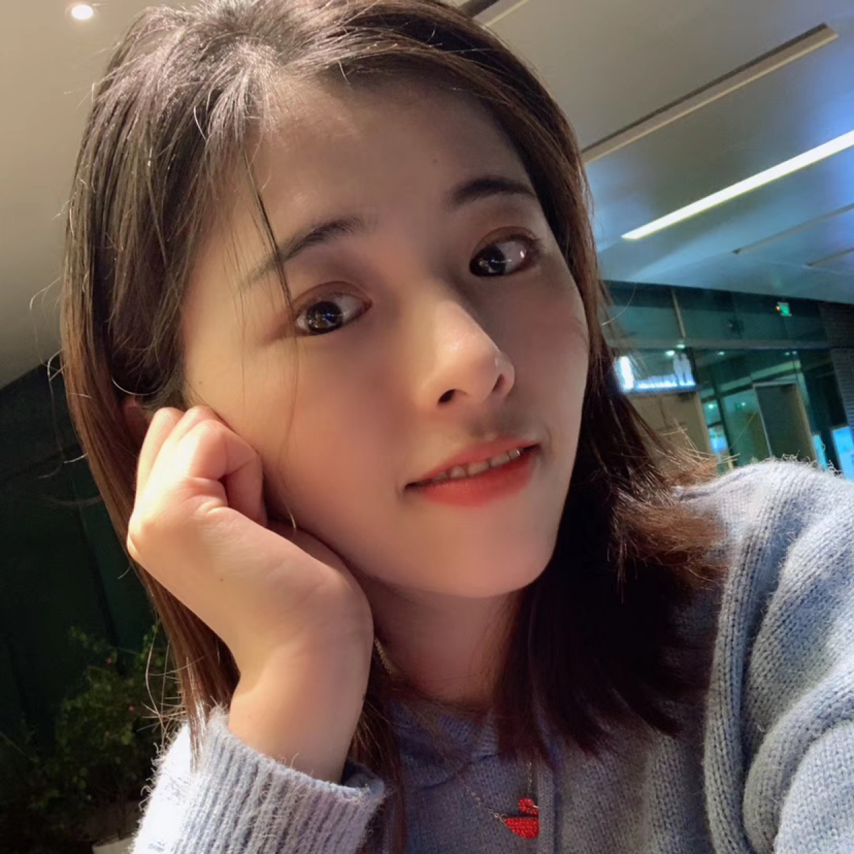 椰子的照片