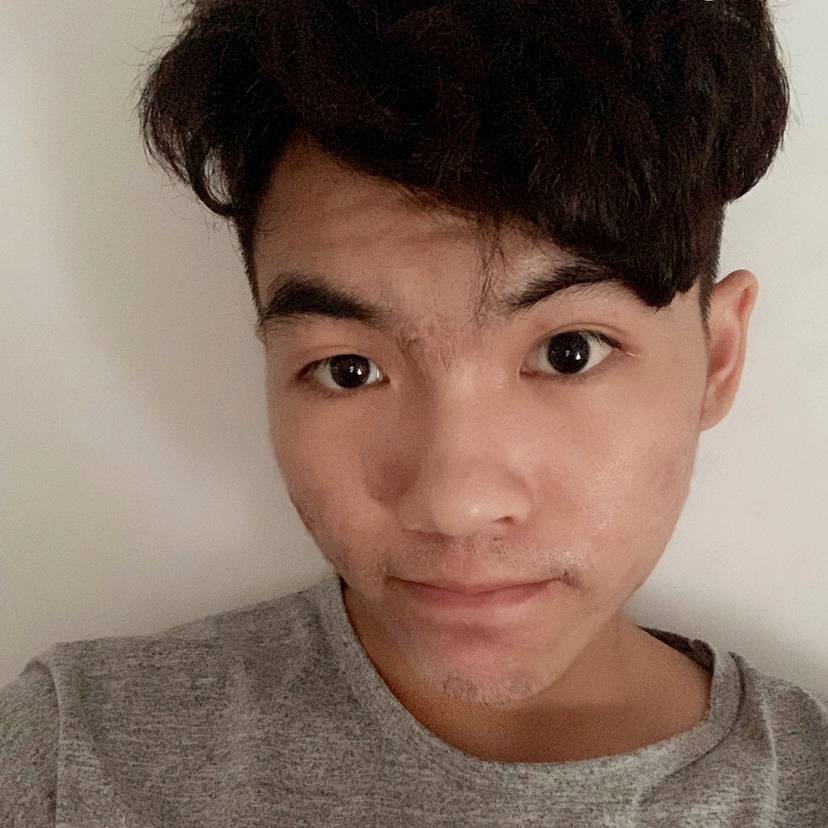我要养猫!的照片