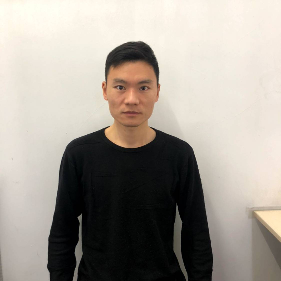 小鸽子爱恋动人的照片
