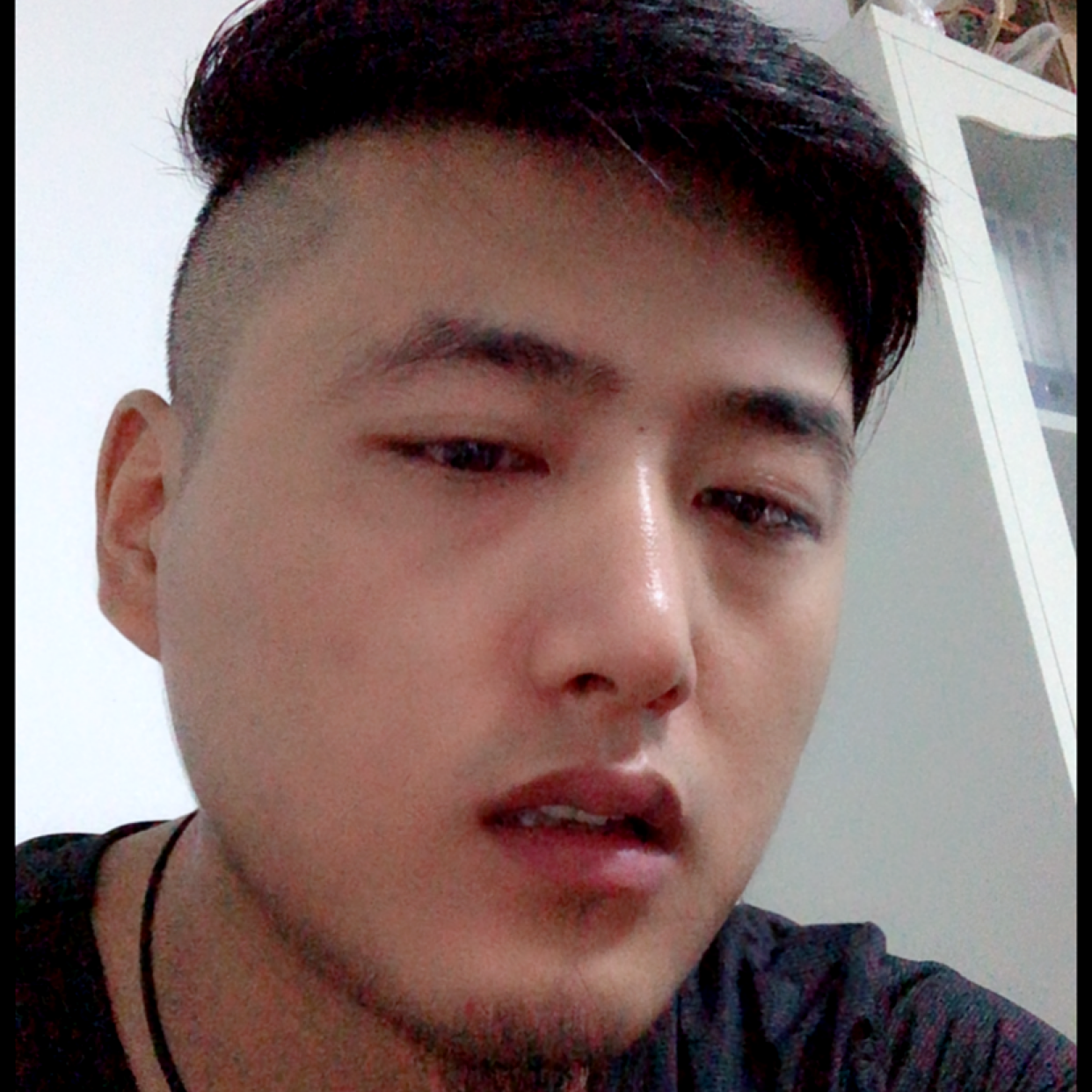 惕惕的照片