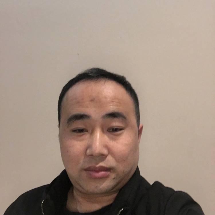 寒风蹁跹务实的照片