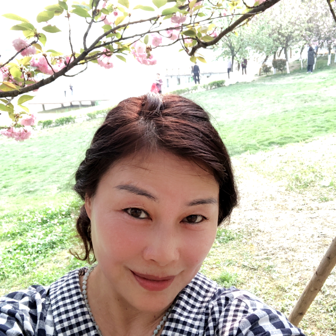 蜗牛羞涩的照片