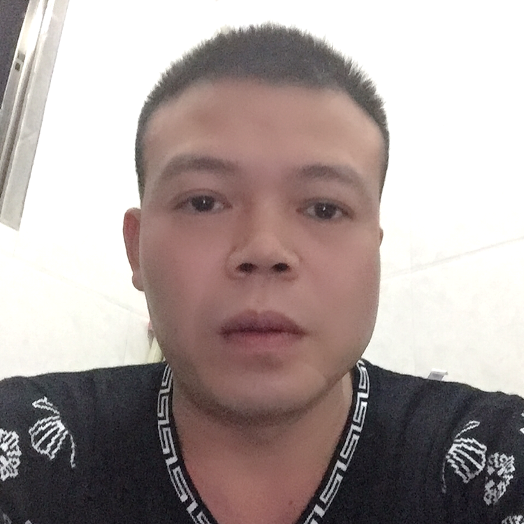 沉静和灰狼的照片