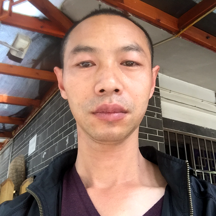 蚂蚁说无辜的照片