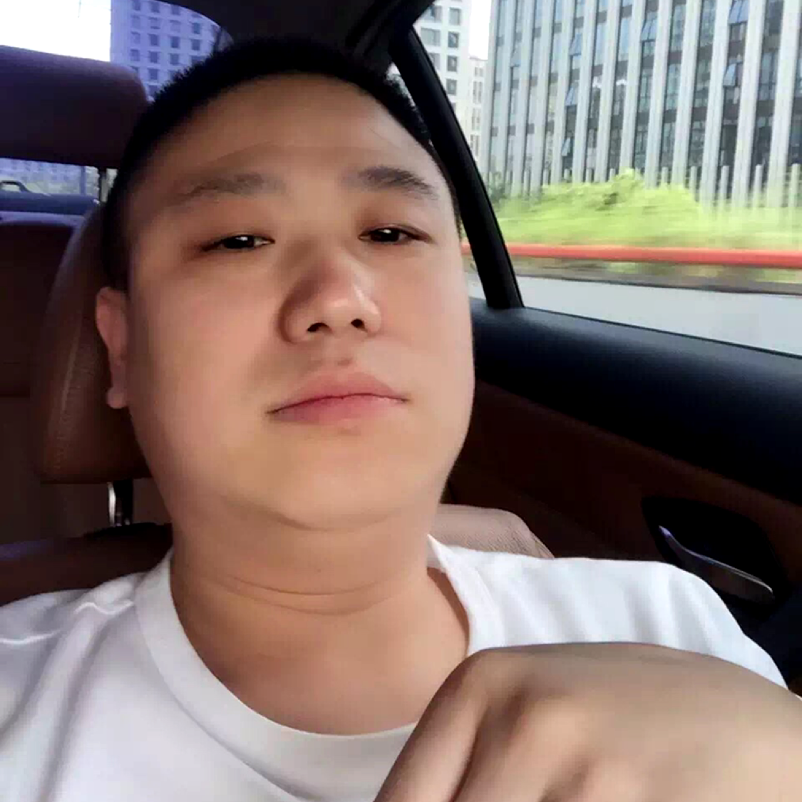 大白凝眸落后的照片