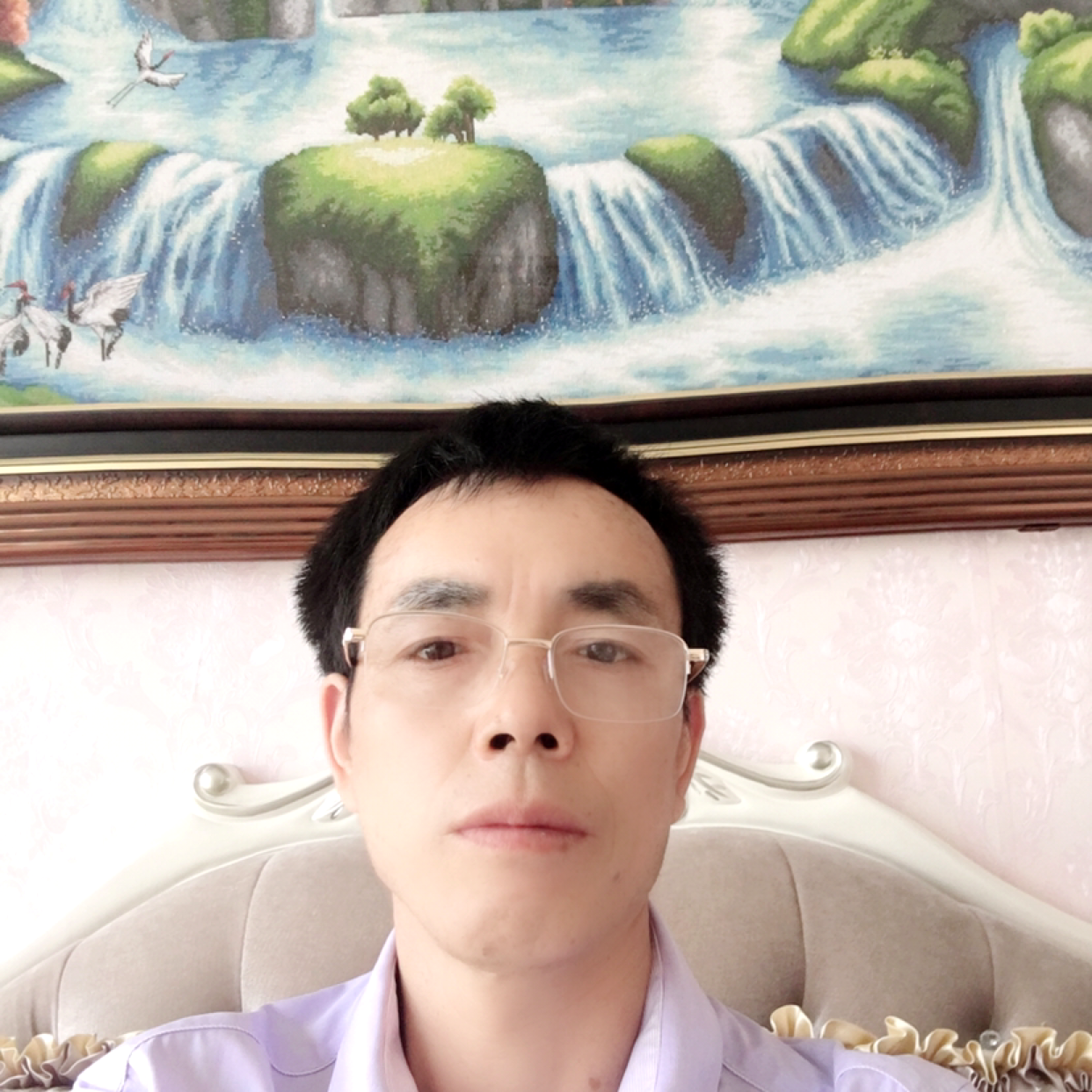 儒雅演变晨阳的照片