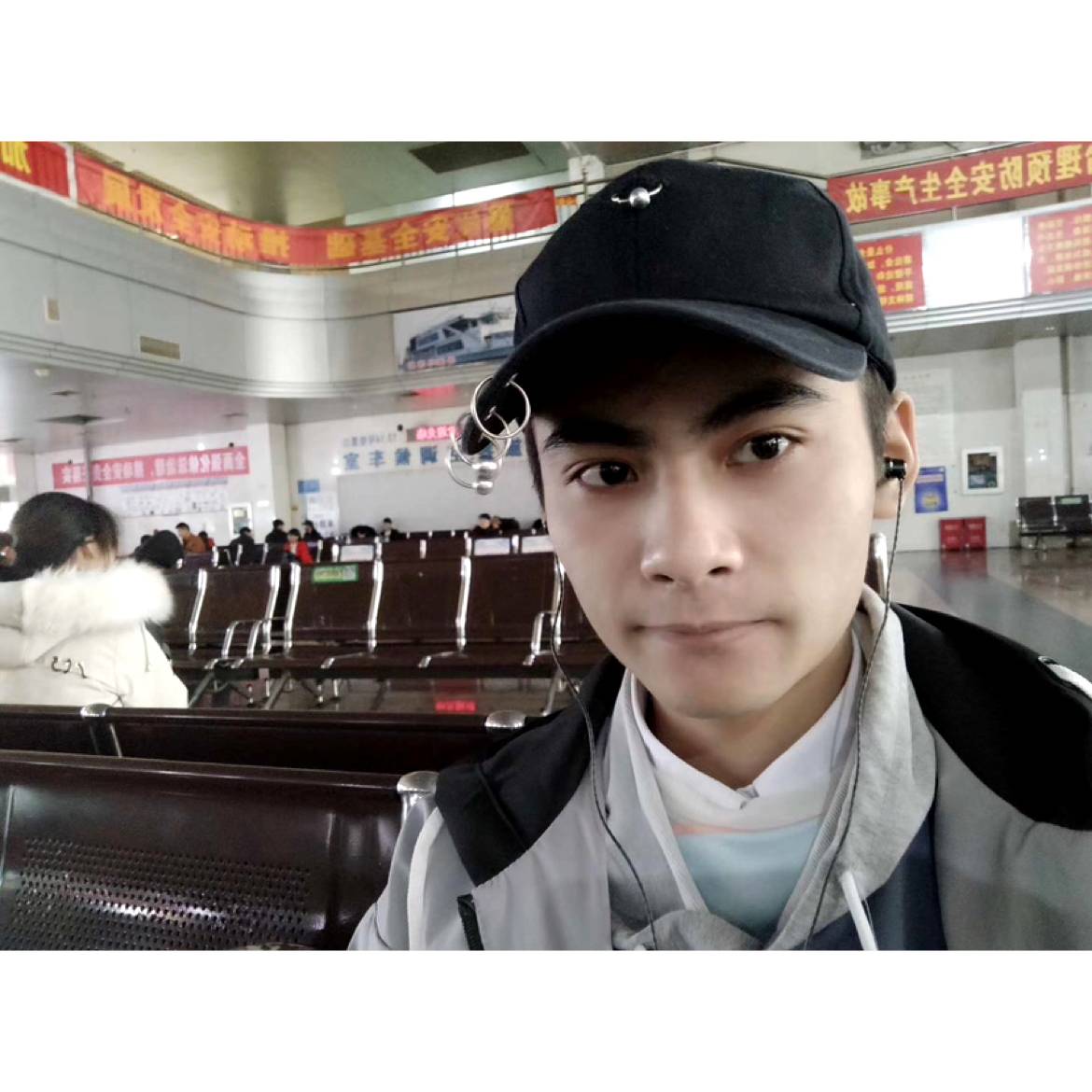 搁浅的鲨鱼的照片