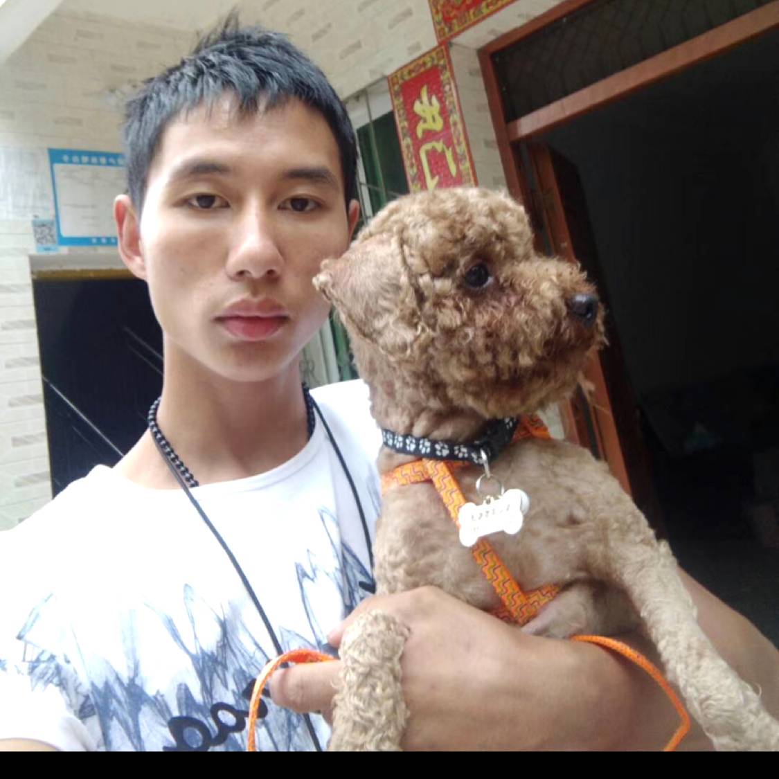 笨笨的小熊131的照片