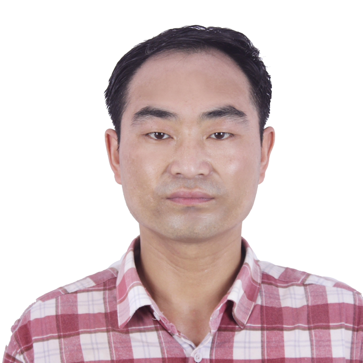 追寻等于河马的照片