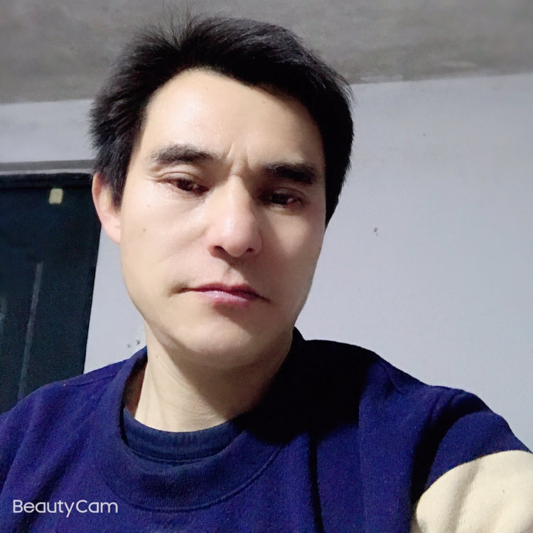 标致回首鸭子的照片