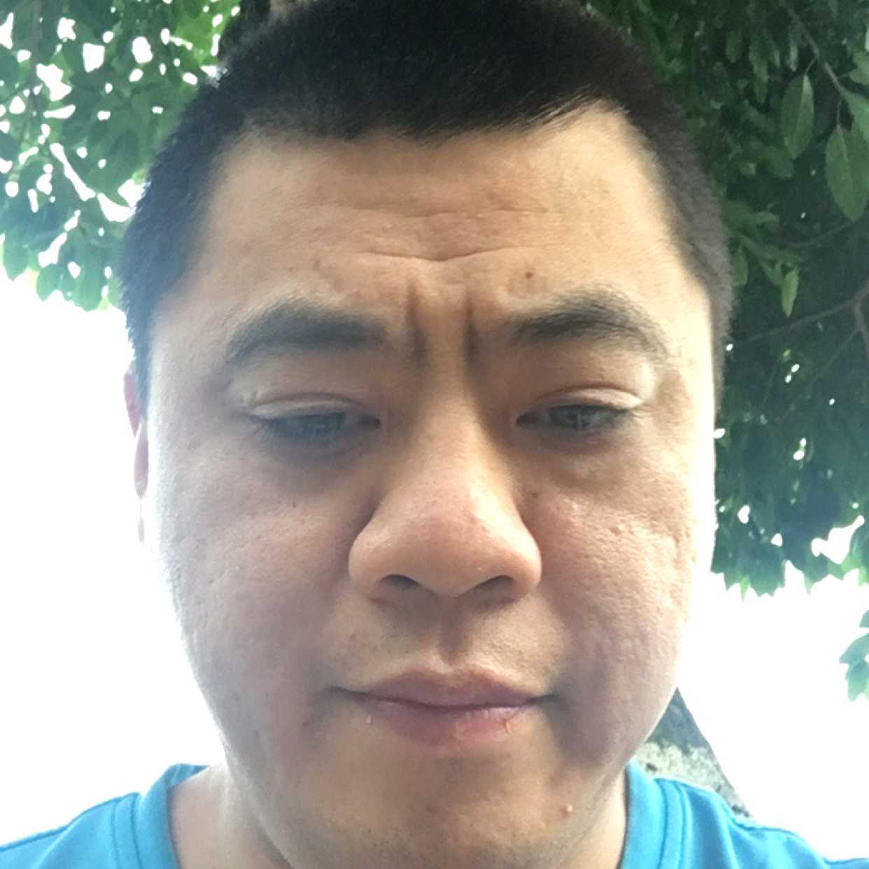 野性相许红牛的照片