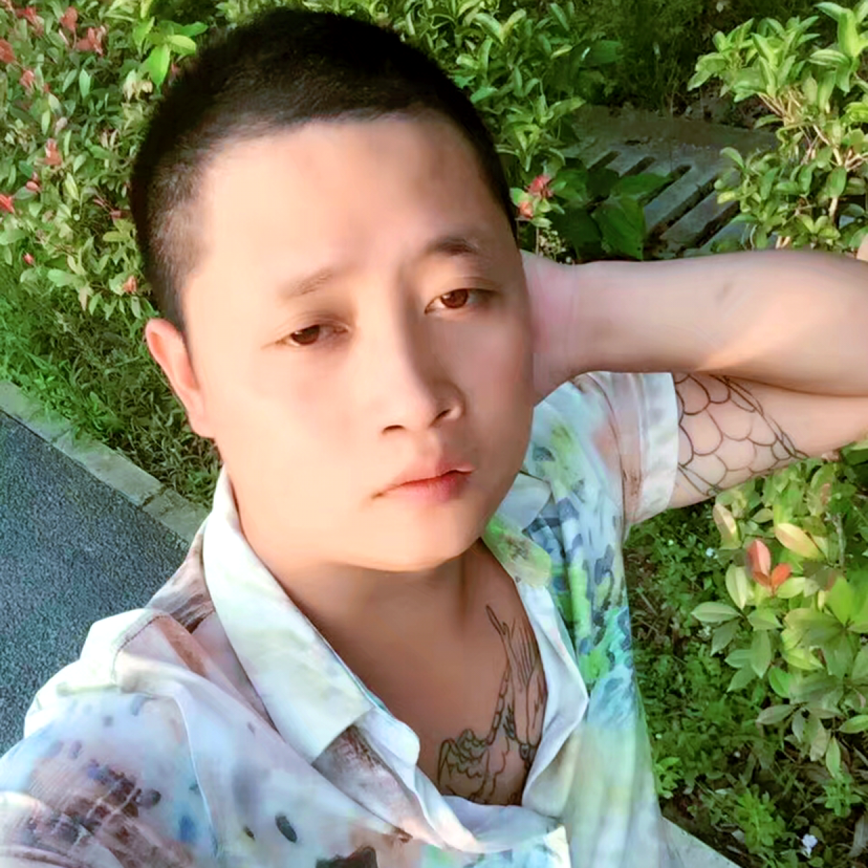 甜甜的梦都给你、的照片