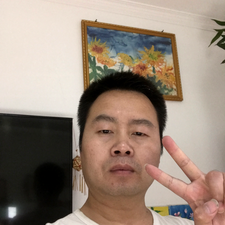 漠然挽手航空的照片