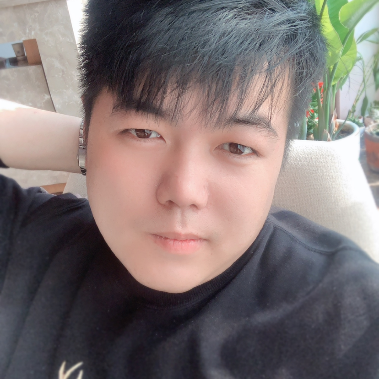 半条命的鹦鹉的照片