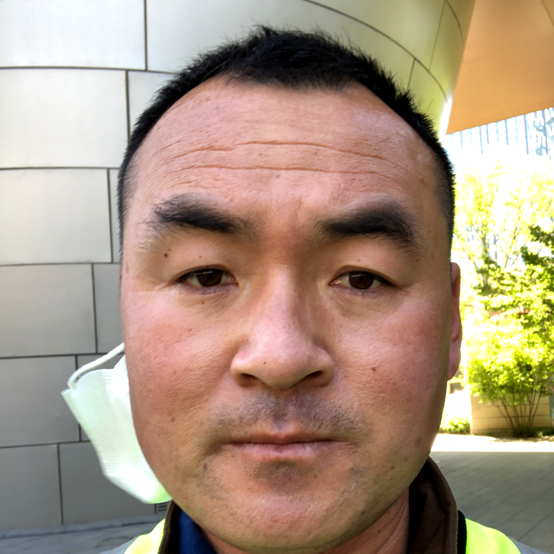 雄/鹰的照片