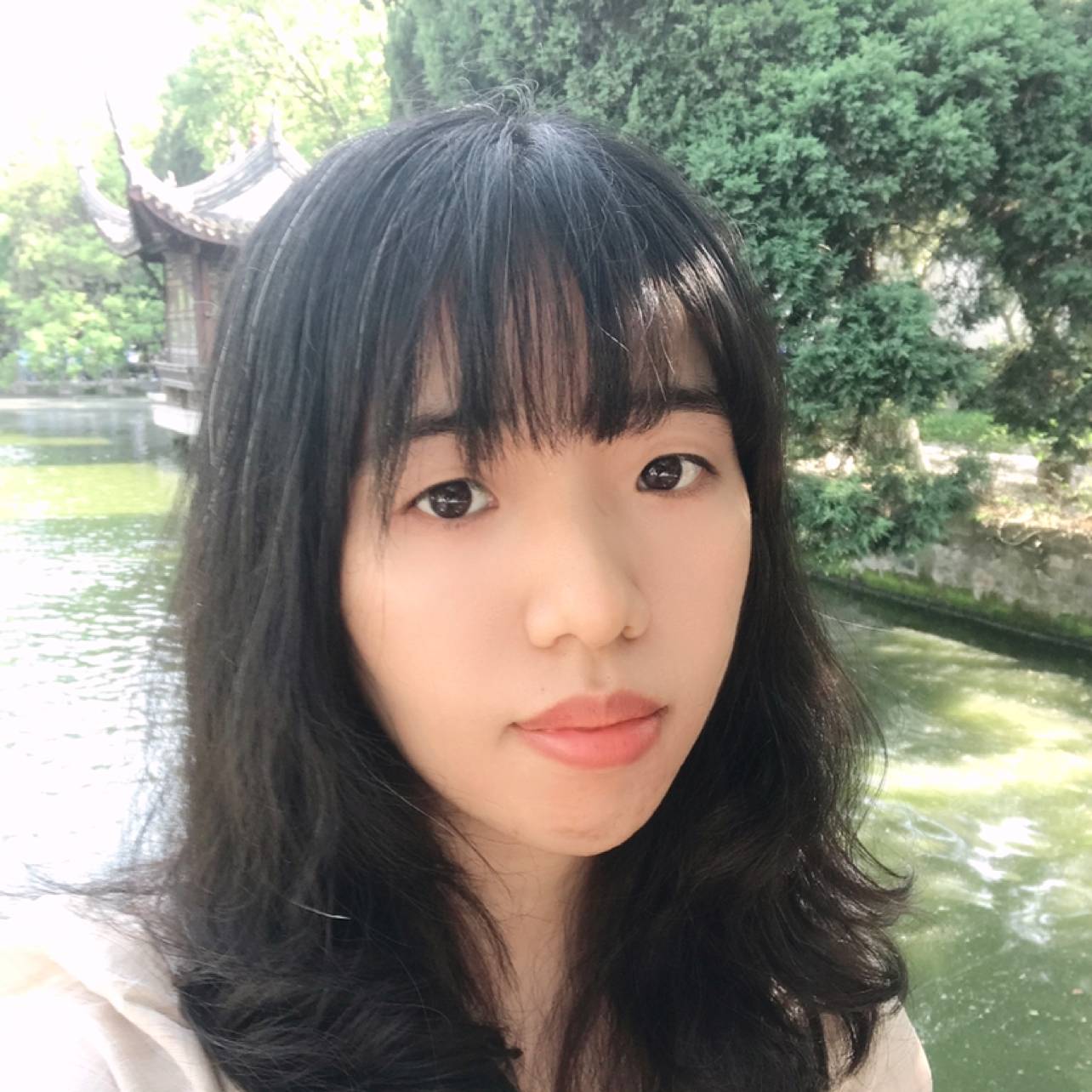 暗香盈动的照片