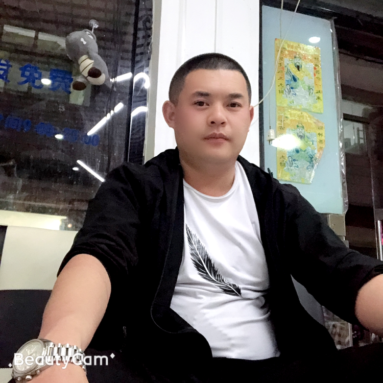 不听话的漫步羊的照片