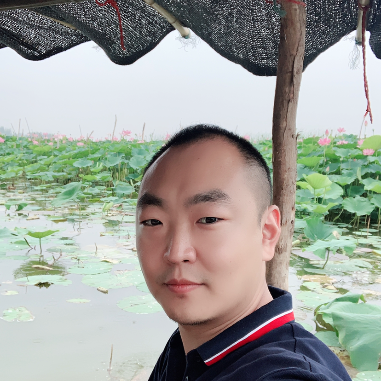 骄傲的坏蛋的照片