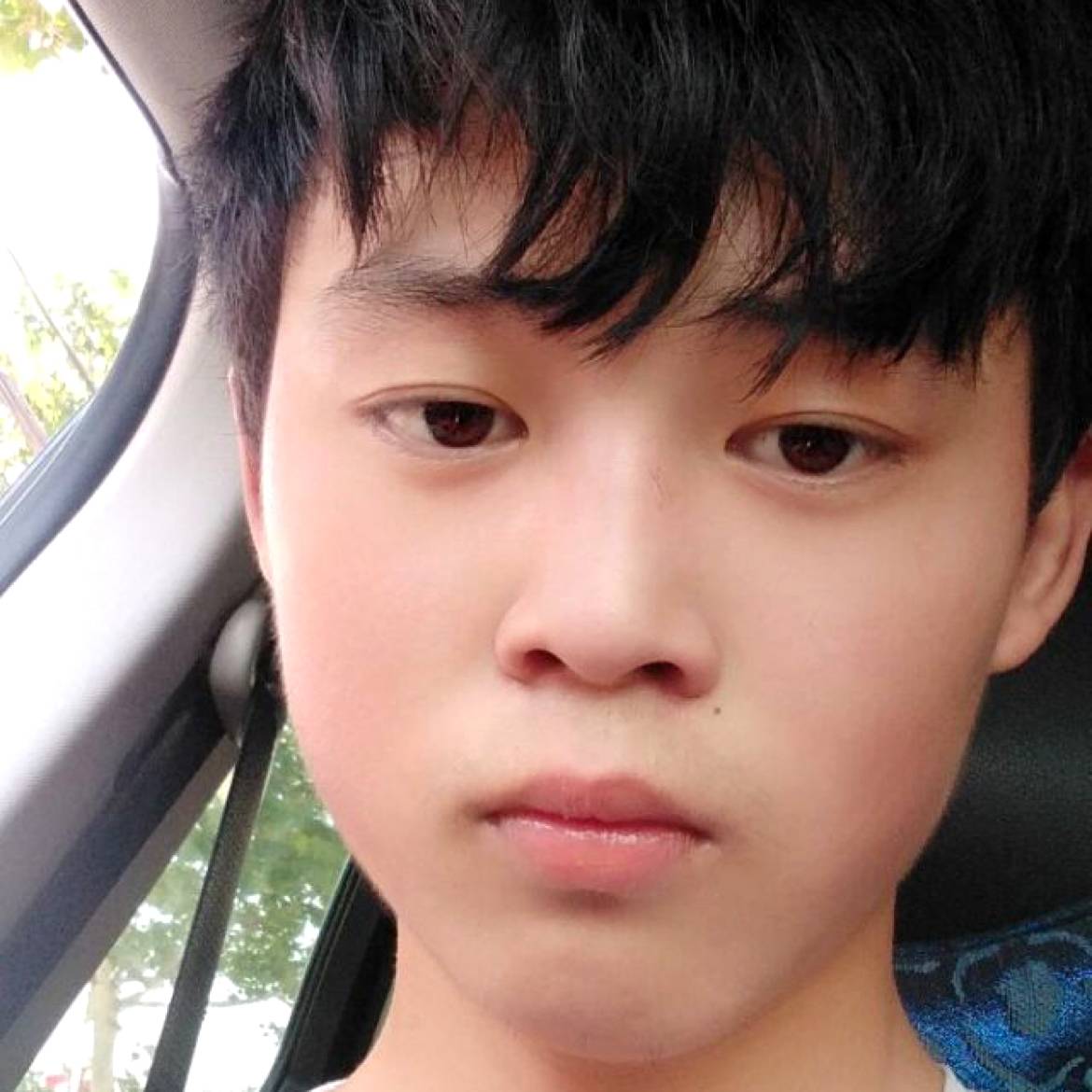 冷傲漫步梦影的照片