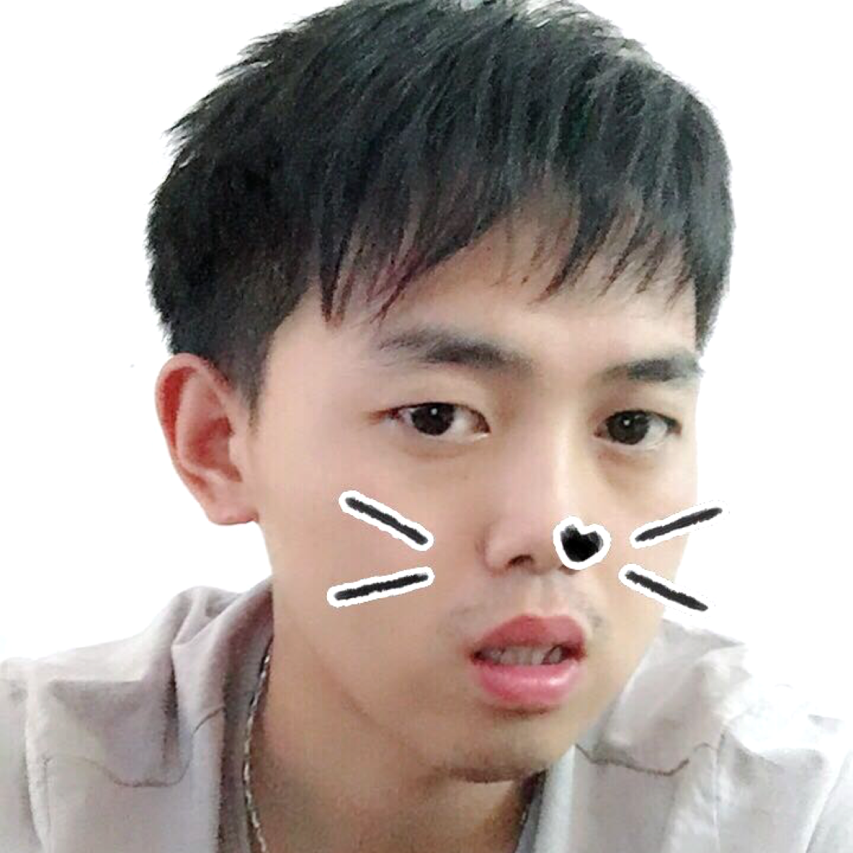 大炮整齐的照片